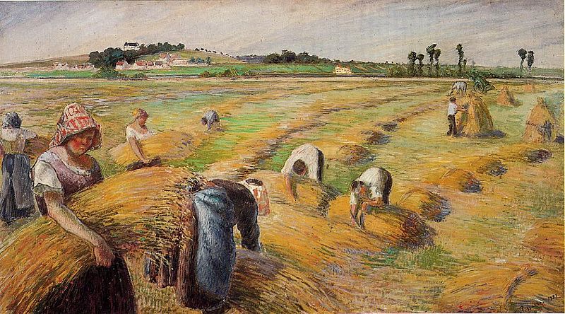 The Harvest - Camille Pissarro Paintings
